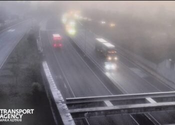 Fog hits Auckland Airport, cancelling 8 flights and delaying 11