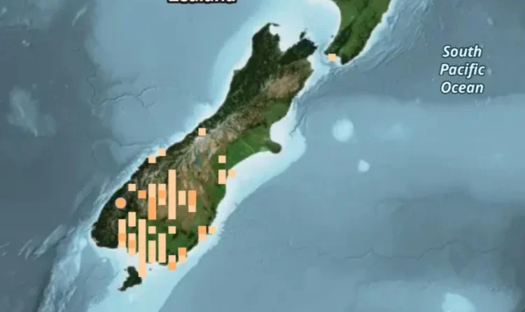 Magnitude 5.2 quake near Te Anau shakes South Island