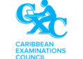 Progress Made, Challenges Ignored – Barbados Today