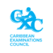 Progress Made, Challenges Ignored – Barbados Today