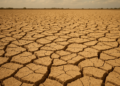 El Niño May Increase Dengue, Malaria and Waterborne Diseases, PAHO Says