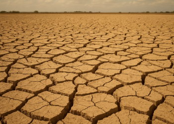 El Niño May Increase Dengue, Malaria and Waterborne Diseases, PAHO Says