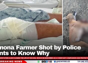 Pomona Farmer Shot by Police Wants to Know Why