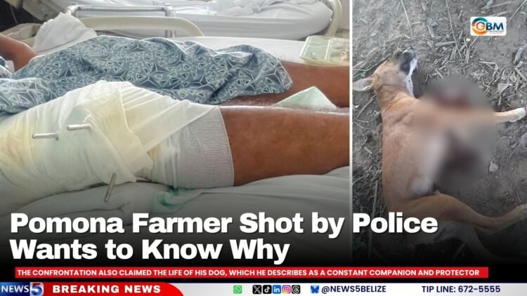 Pomona Farmer Shot by Police Wants to Know Why