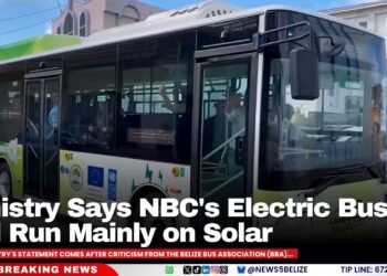 Ministry Says NBC’s Electric Buses Will Run Mainly on Solar