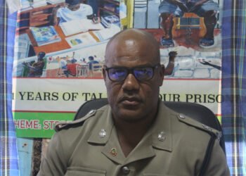 South Leeward and Central Kingstown have highest number of males in prison
