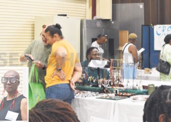 Vincentians in New York put on successful Expo