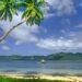 Fueling Vulnerability: The Economic and Strategic Costs of Oil Dependence in the Pacific