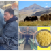 When a yak herder from India made a big impact internationally