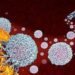 Do mRNA tumour vaccines herald a new revolution in cancer treatment?