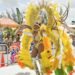NCF declares Crop Over 2026 a success