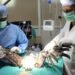 PfA@30: Taking the animal kingdom under their wing
