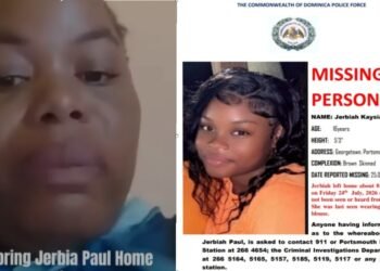 Mother appeals for public’s help as search continues for missing Portsmouth teenager (with video)