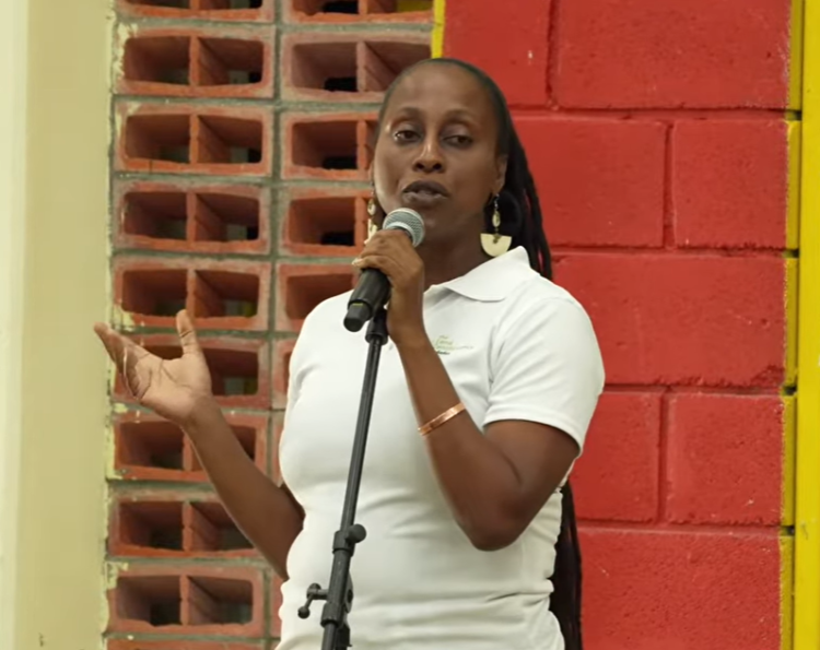 St Andrew folk: Protect Long Pond beach