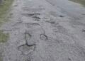 Potholes complaints, bus tracking top Pearly app usage – developer