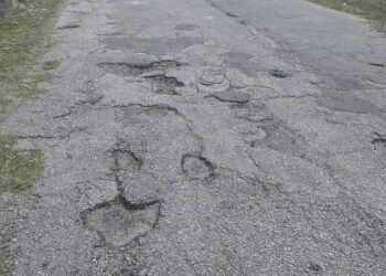 Potholes complaints, bus tracking top Pearly app usage – developer