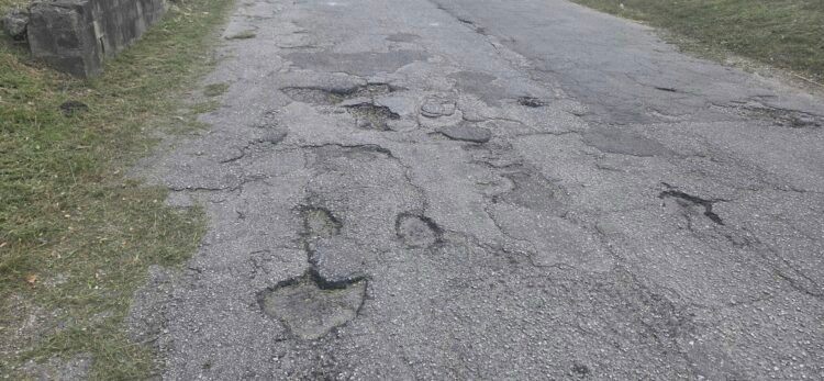 Potholes complaints, bus tracking top Pearly app usage – developer