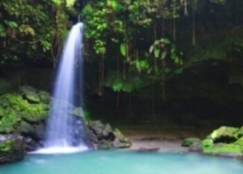 Dominica heads to Trinidad & Tobago for annual tourism sales mission
