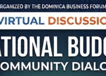 LIVE NOW: DBF discussion on 2026-2027 National Budget
