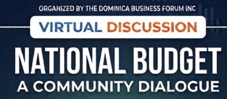 LIVE NOW: DBF discussion on 2026-2027 National Budget