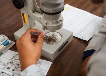 Story: CDC Supports Innovation Abroad to Protect Health at Home | Mosquitoes