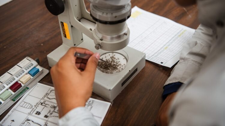 Story: CDC Supports Innovation Abroad to Protect Health at Home | Mosquitoes