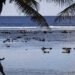 A New (Old) Name for Nauru