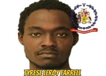 Escaped prisoner back in police custody