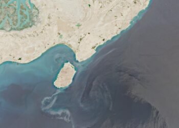Major oil spill threatens Hara mangrove forests in Persian Gulf