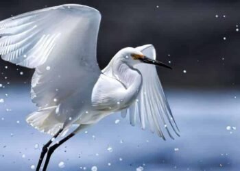 Caribbean photo contest returns with more than US$3,000 in prizes