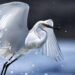 Caribbean photo contest returns with more than US$3,000 in prizes