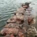 Possible Sangam-age irrigation structure exposed on Kollidam river in Tiruchi district