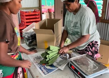 Fiji farmers gain new pacific market through Naoero shipment