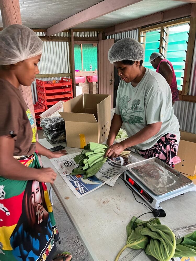 Fiji farmers gain new pacific market through Naoero shipment