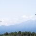 Swiss army completes firefighting mission in Corsica
