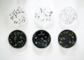 Two new cases of Legionnaires’ disease in Switzerland