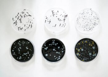 Two new cases of Legionnaires’ disease in Switzerland