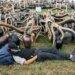 Some 3,000 gather for Swiss cowbell ringing festival