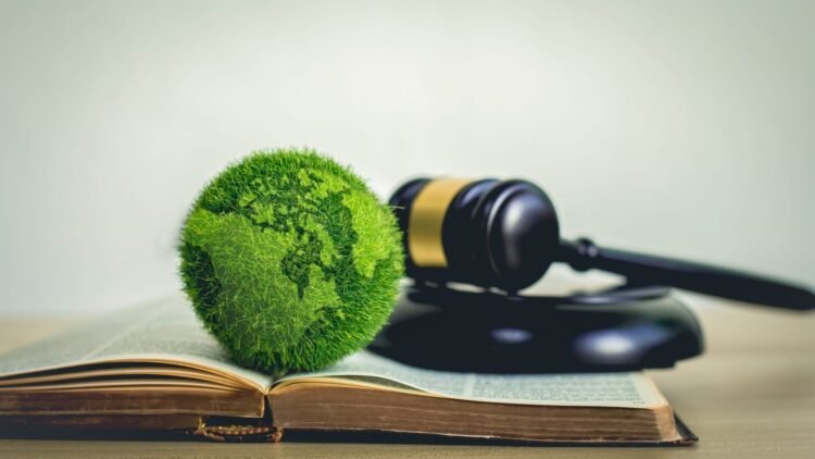 Uzbekistan links environmental goals with economic development