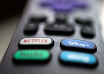 Swiss government wants to regulate cost of streamers