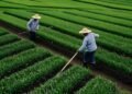 Agricultural revolution still required – Barbados Today