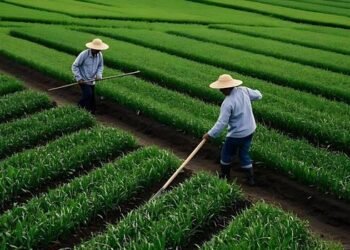 Agricultural revolution still required – Barbados Today