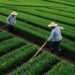 Agricultural revolution still required – Barbados Today
