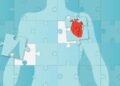 AI heart disease prediction tools show promise but are not ready for clinical use: review