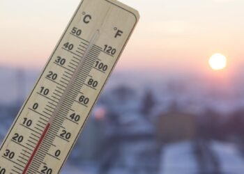 Study links prolonged heat exposure during pregnancy to adverse birth outcomes