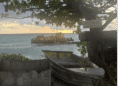 Marshall Islands Week 4: Barely Across the Lagoon (By Daniela Monroig) – Tisch Global Jumbos