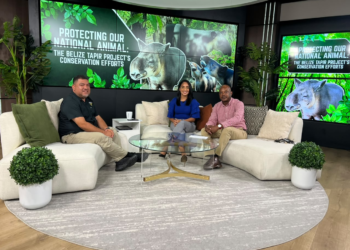 Protecting Belize’s National Animal: The Belize Tapir Project’s Conservation Efforts