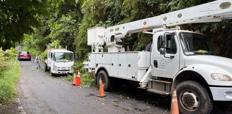 DOMLEC acknowledges customer frustration following prolonged outages