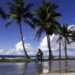 ASIA WATCH: Nauru sells ‘golden passports’ to fund climate adaptation