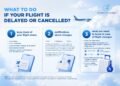 Is your flight delayed or cancelled? Here’s what you need to know